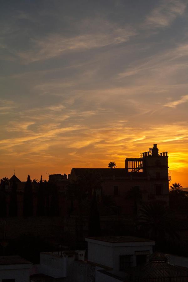 Jerez Centro 5 Terrazas Con Vistas Alcazar Y Plaza Arenal Appartement